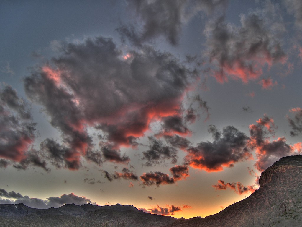 The Superstition Mountains rise above the Sonoran Desert in Arizona's East Valley, where CAPE Pest Control protects homes and businesses.